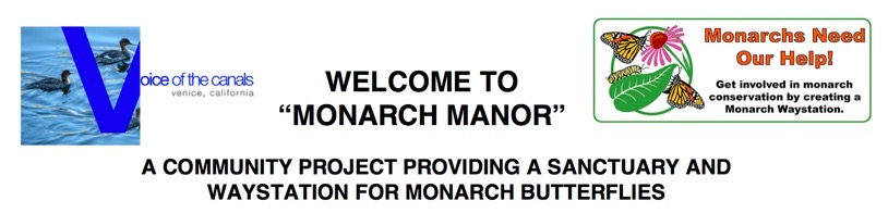 monarch manor j